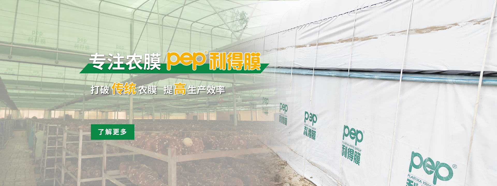 綠白膜、pep利得膜